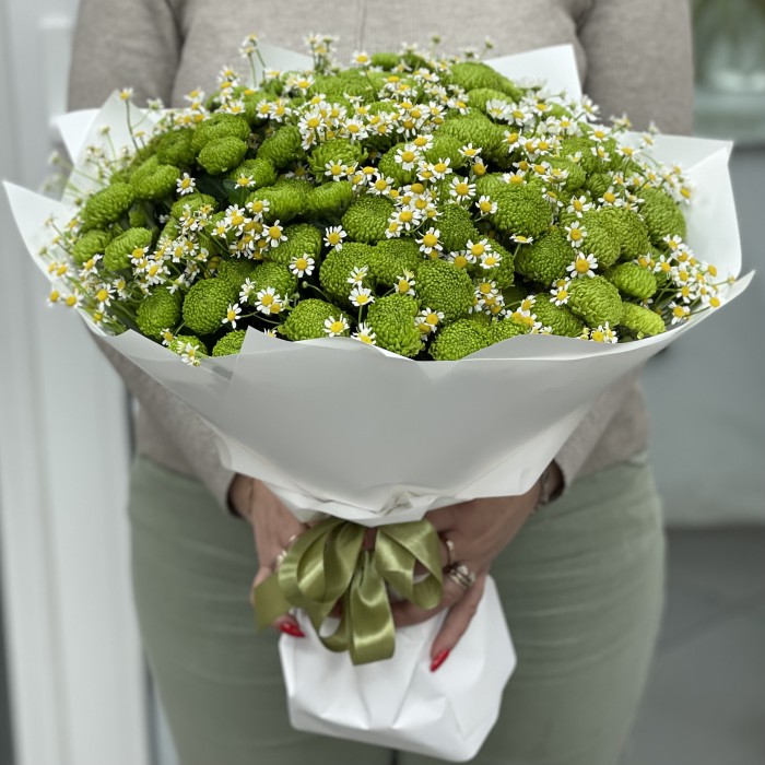 19 зеленых хризантем с ромашкой